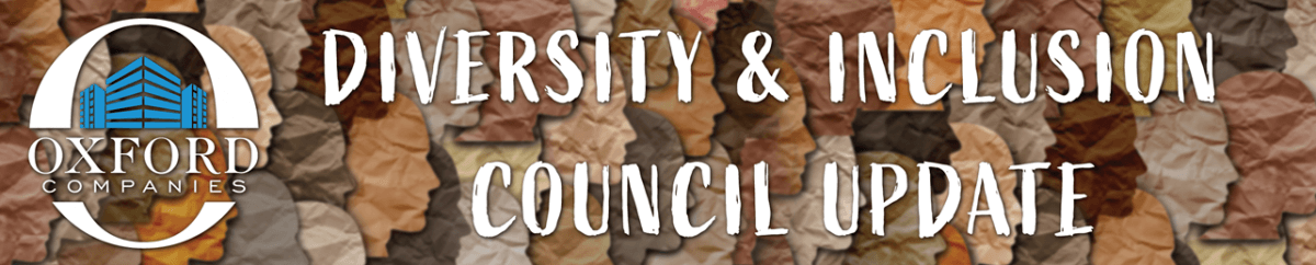 diversity and inclusion council